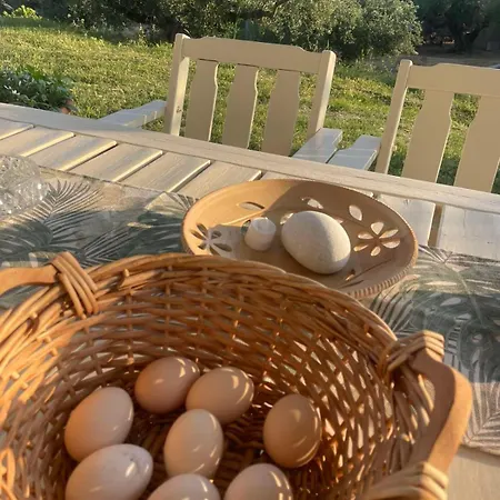 Kır Evi Enada & Olive Farm *