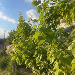 Enada & Olive Farm غيتيو