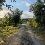 Enada & Olive Farm Casa de Campo