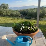 Casa di campagna Enada & Olive Farm Gythio