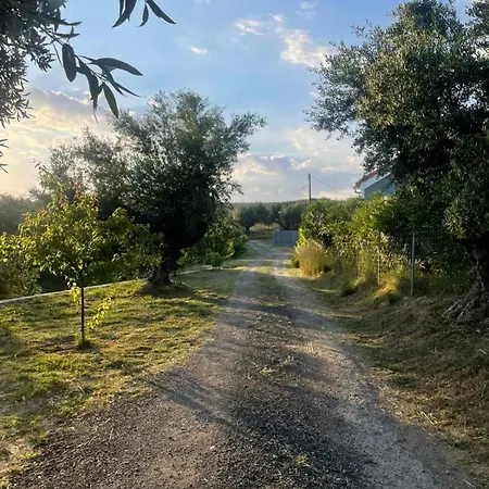 Enada & Olive Farm Летний дом