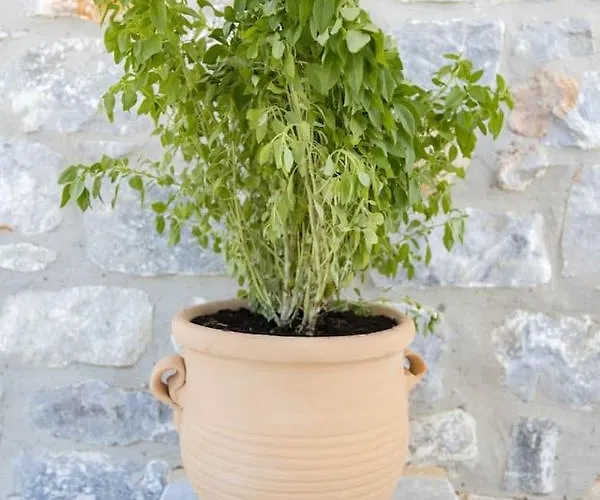 Casa rural Enada Suite&olive Farm