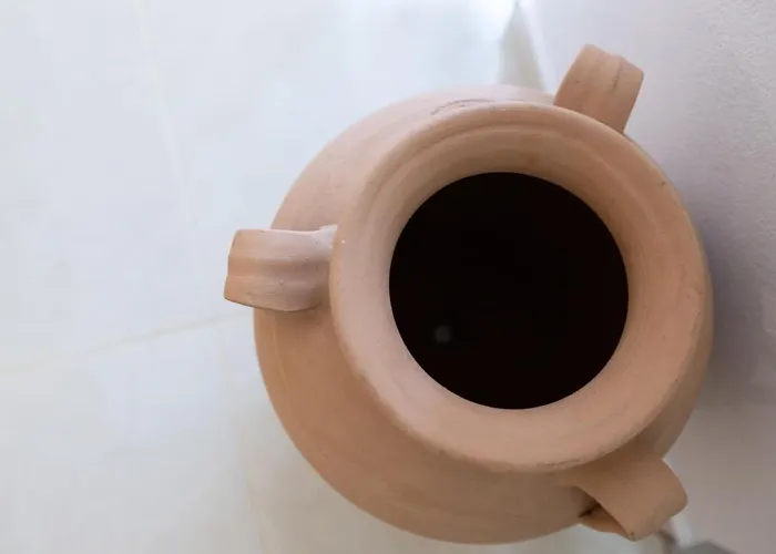 Enada & Olive Farm *