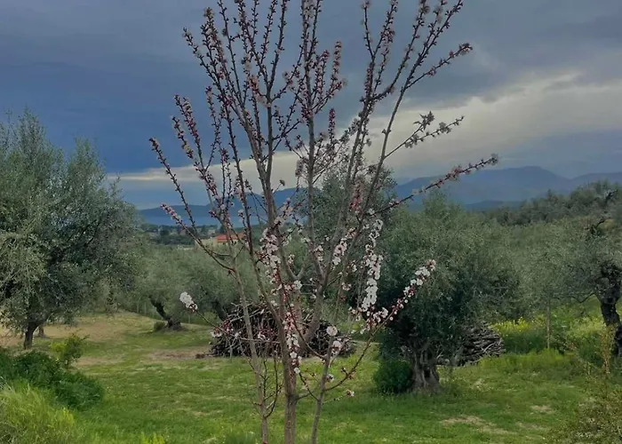 Enada Suite&olive Farm