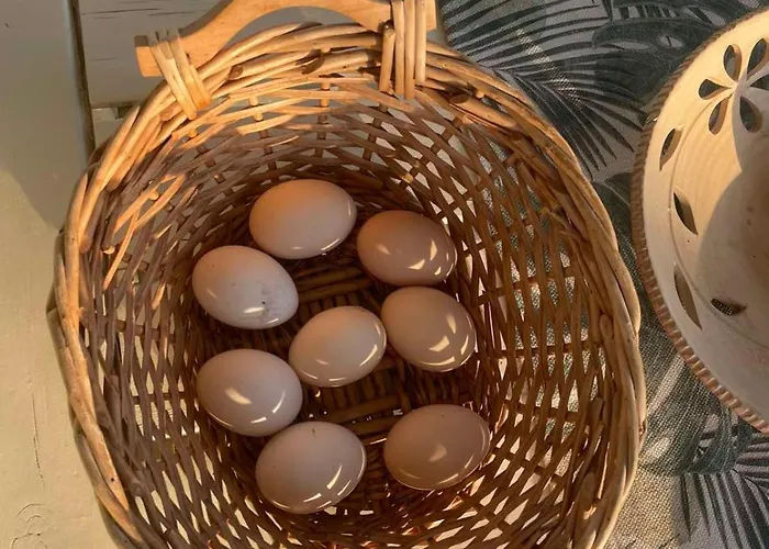 Εξοχικό σπίτι Enada & Olive Farm Γύθειο