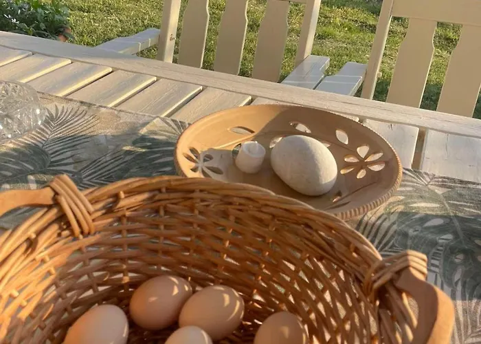 Casa rural Enada Suite&olive Farm *