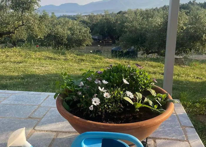 Landhuis Enada & Olive Farm Gythio