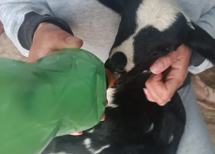 Enada Suite&olive Farm * Githio